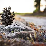 'op De Kleijne Hei' * Well (Limburg)