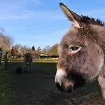 'op De Kleijne Hei' *