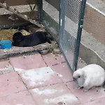 Bed & Breakfast 'op De Kleijne Hei' *