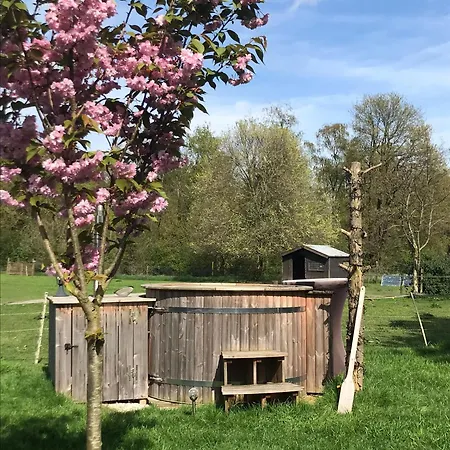 לינה וארוחת בוקר 'op De Kleijne Hei' Well (Limburg)
