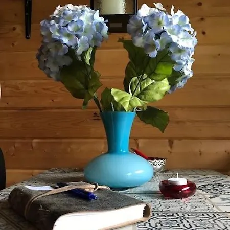 'op De Kleijne Hei' Bed and breakfast Well (Limburg)