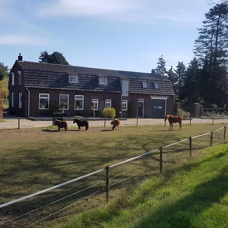 Bed & Breakfast 'op De Kleijne Hei' *