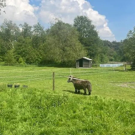 'op De Kleijne Hei' Well (Limburg)