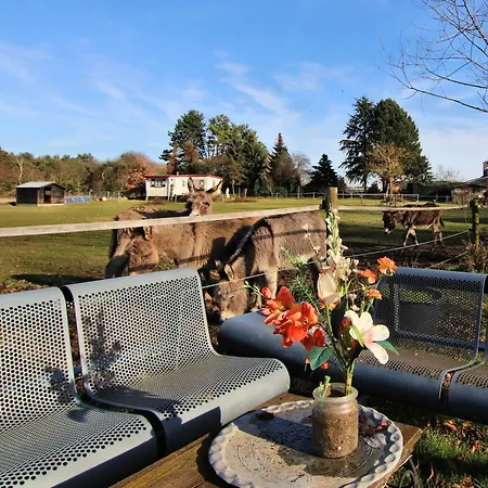 'op De Kleijne Hei' Well (Limburg)