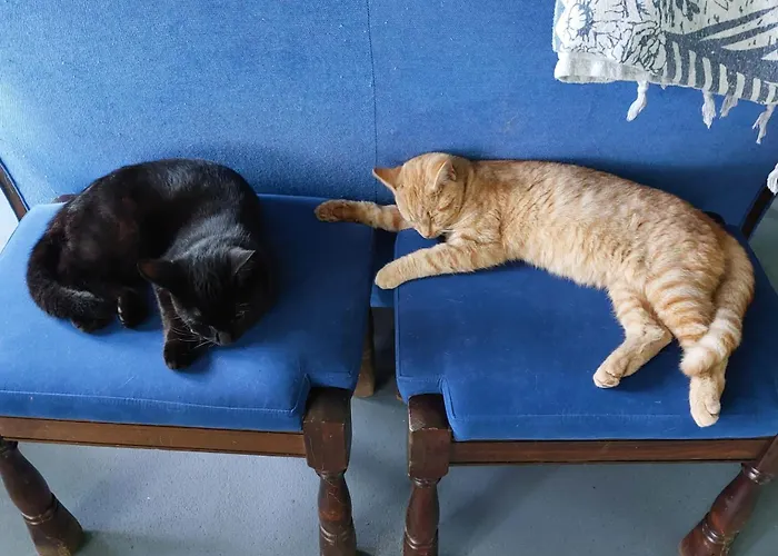 Bed and breakfast 'op De Kleijne Hei' *