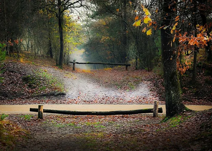 'op De Kleijne Hei' Bed and breakfast *