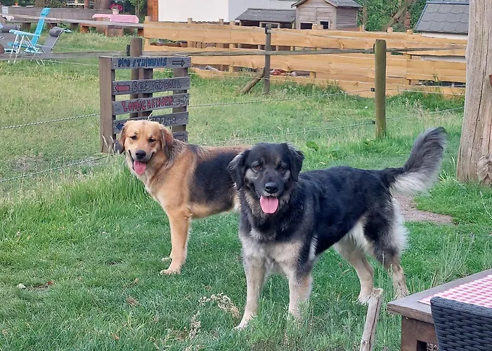 Bed & Breakfast 'op De Kleijne Hei' Well (Limburg)