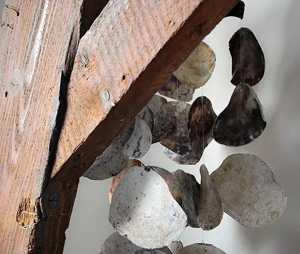 'op De Kleijne Hei' * Well (Limburg)