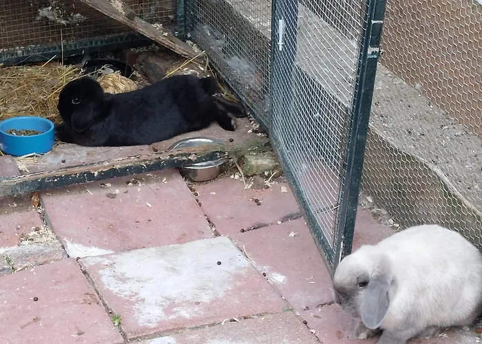 Bed and breakfast 'op De Kleijne Hei' *