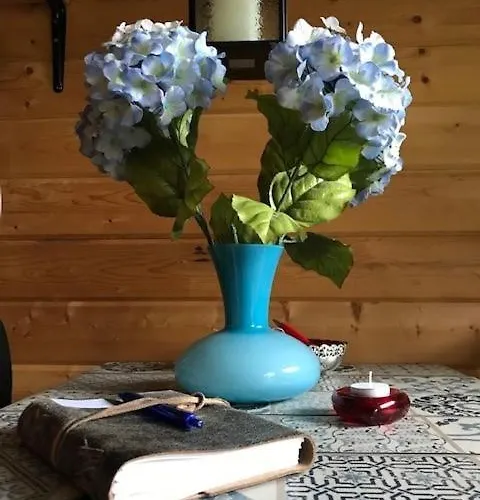 'op De Kleijne Hei' Bed and breakfast Well (Limburg)