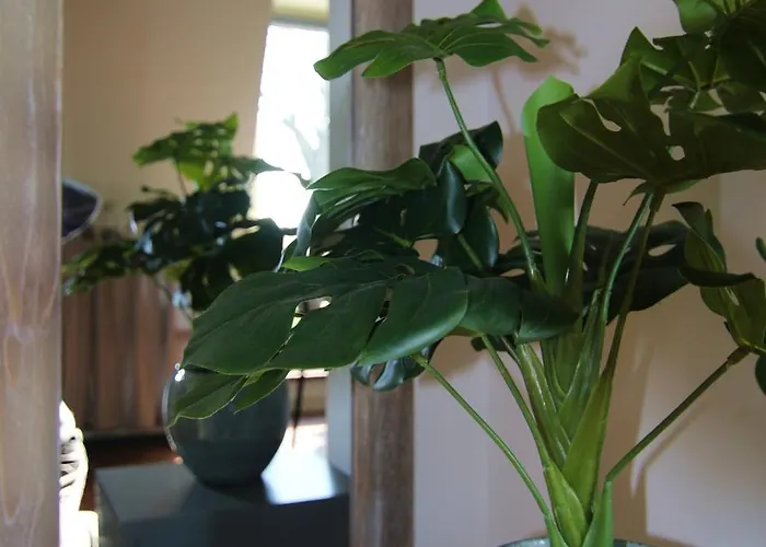 'op De Kleijne Hei' Well (Limburg)