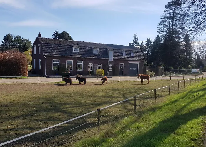 Bed and breakfast 'op De Kleijne Hei' *