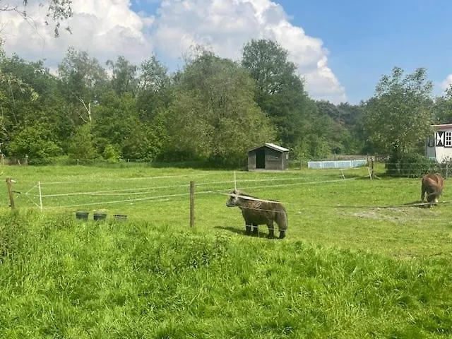 'op De Kleijne Hei' Well (Limburg)