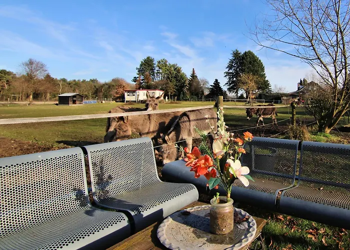 'op De Kleijne Hei' Well (Limburg)