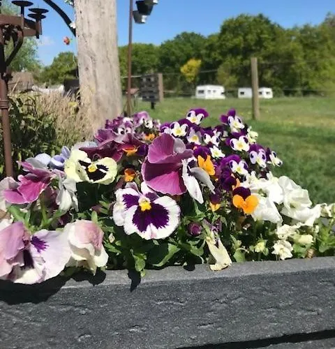 'op De Kleijne Hei' *