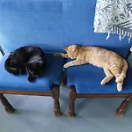 Bed & Breakfast 'op De Kleijne Hei' *