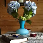 'op De Kleijne Hei' Bed & Breakfast Well (Limburg)