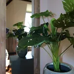 'op De Kleijne Hei' Well (Limburg)