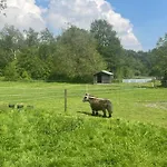 'op De Kleijne Hei' Well (Limburg)