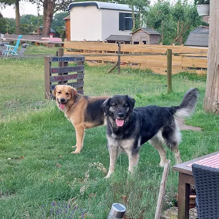 Oda ve Kahvaltı 'op De Kleijne Hei' Well (Limburg)